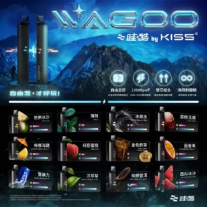 wogoo KIS5子品牌WAGOO哇酷一次式6500口 / 可自由混搭探索新口味 / 滿10送1