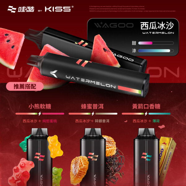 KIS5子品牌WAGOO哇酷一次式6500口 / 可自由混搭探索新口味 / 滿10送1