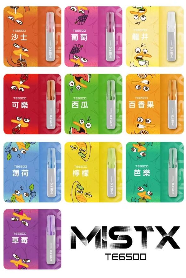 MISTX鴨嘴獸拋棄式6500口 / 便宜好用